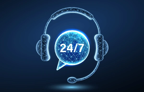 24*7 Expert Assistance